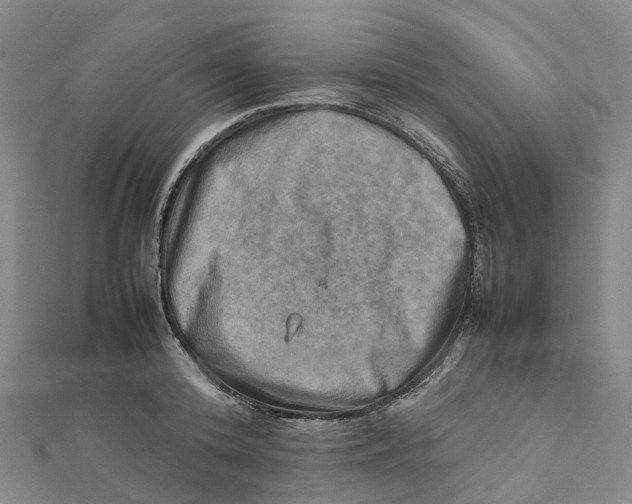 X0000112090800200909011103