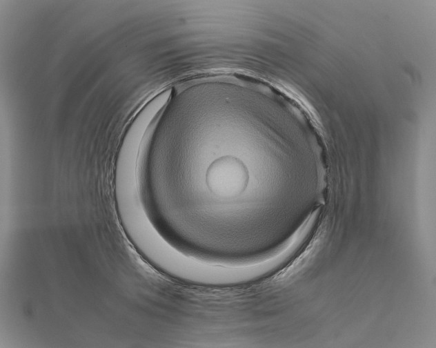 X0000112090801200909011103