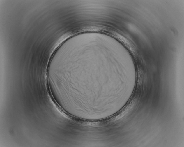 X0000112090802200909011103