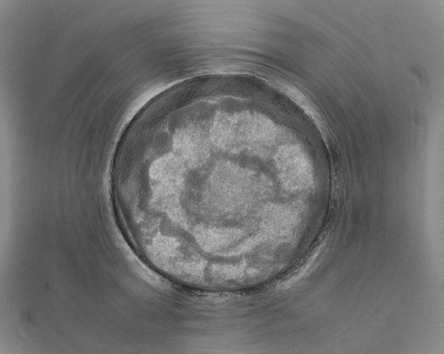 X0000112090803200909011103