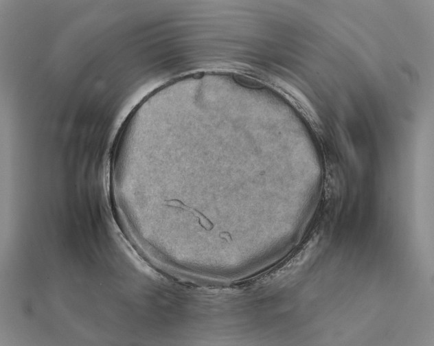 X0000112090804200909011103