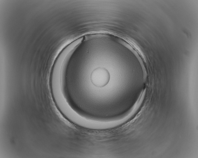 X0000112090805200909011103