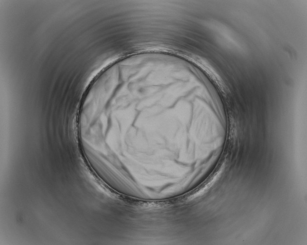 X0000112090806200909011103