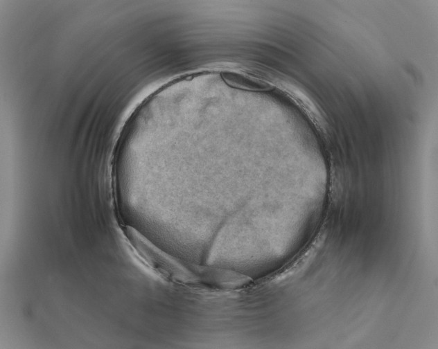 X0000112090808200909011103