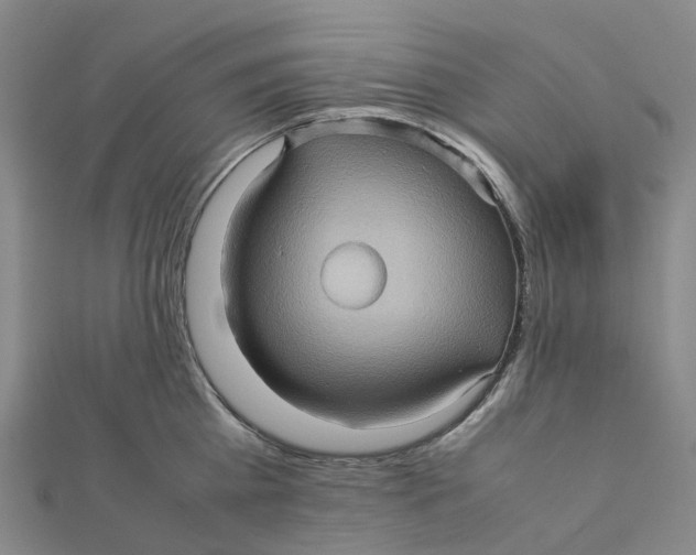 X0000112090809200909011103