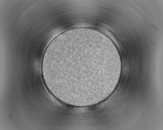 X0000112090810200909011103