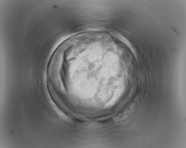 X0000112090811200909011103