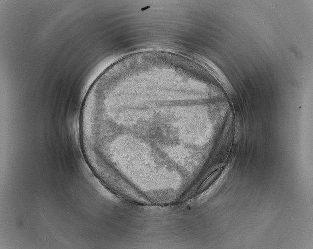 X0000112090812200909011103