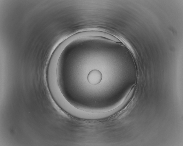 X0000112090813200909011103
