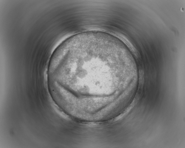 X0000112090814200909011103