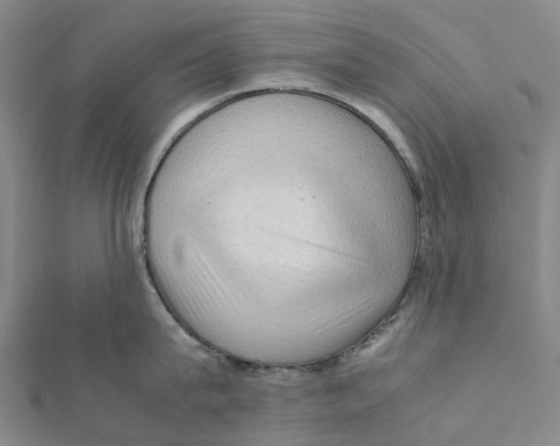 X0000112090815200909011103