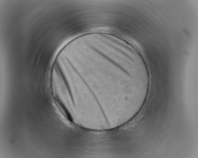 X0000112090816200909011103