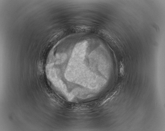 X0000112090819200909011102