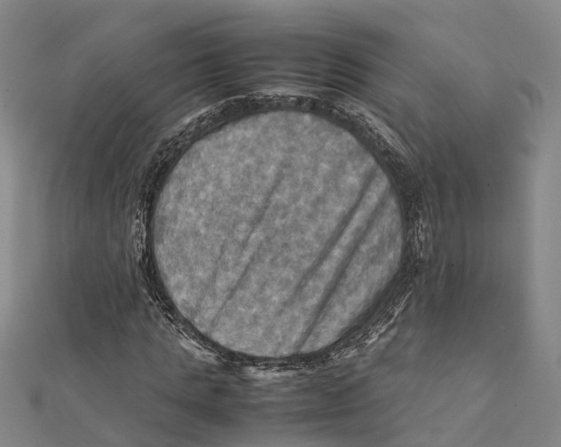 X0000112090821200909011102