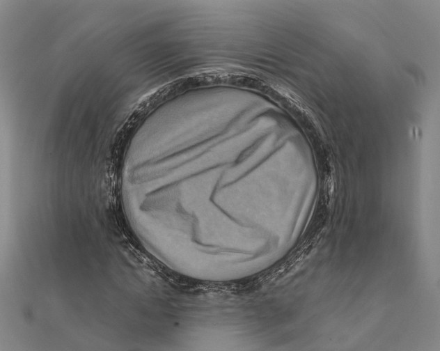X0000112090822200909011102