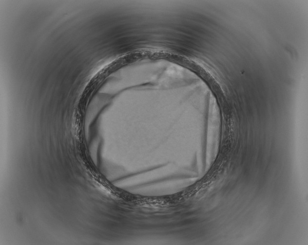 X0000112090823200909011102