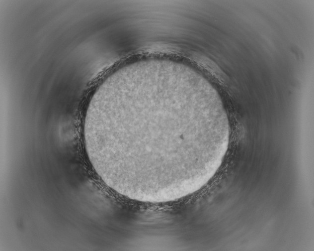 X0000112090824200909011102