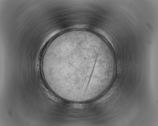 X0000112090827200909011102