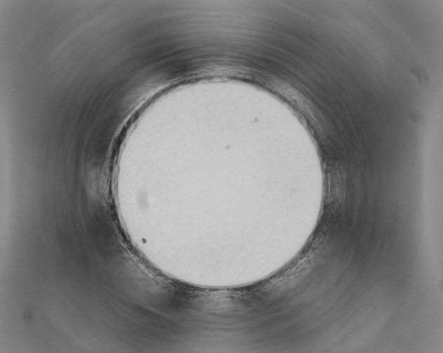 X0000112090828200909011102
