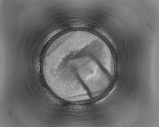 X0000112090829200909011102
