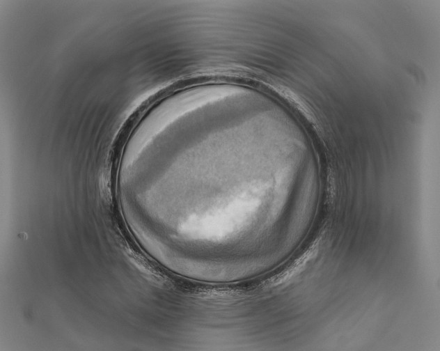 X0000112090830200909011102