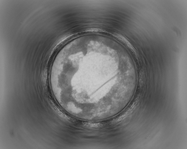 X0000112090831200909011102