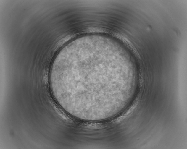 X0000112090833200909011103