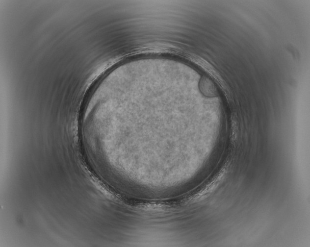 X0000112090834200909011103