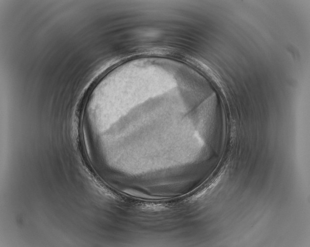 X0000112090835200909011103