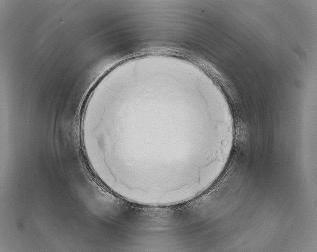 X0000112090836200909011103