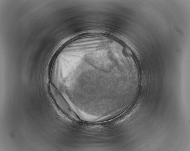X0000112090837200909011103