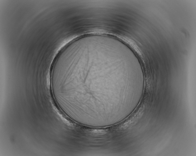 X0000112090839200909011103