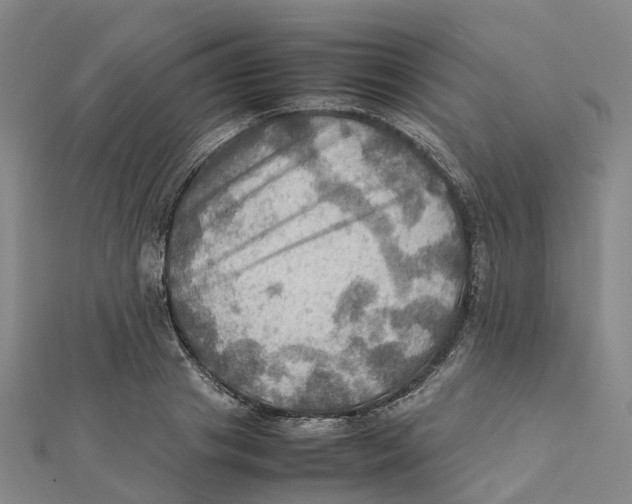 X0000112090841200909011103
