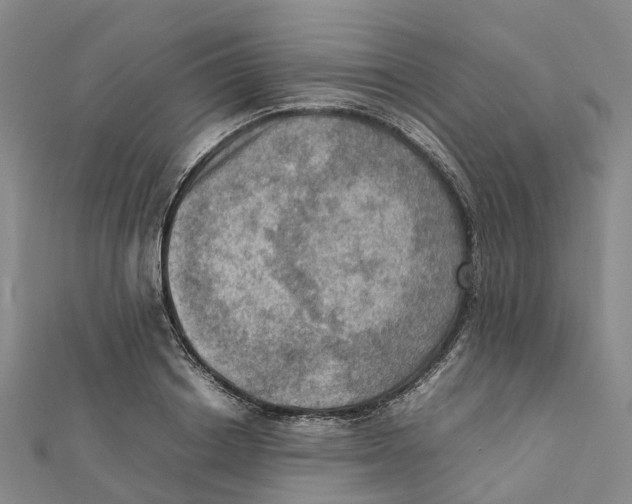 X0000112090842200909011103