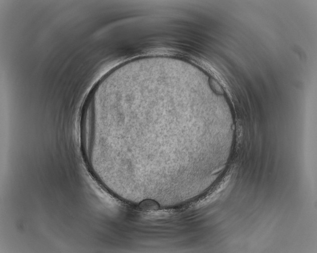 X0000112090843200909011103