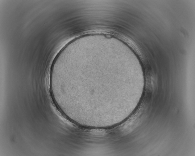 X0000112090844200909011103
