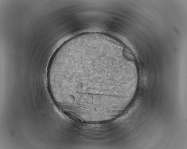 X0000112090845200909011103