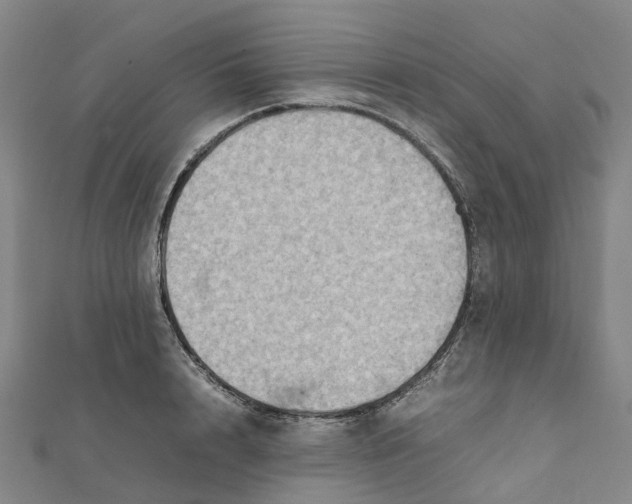 X0000112090848200909011103
