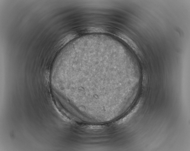 X0000112090849200909011103