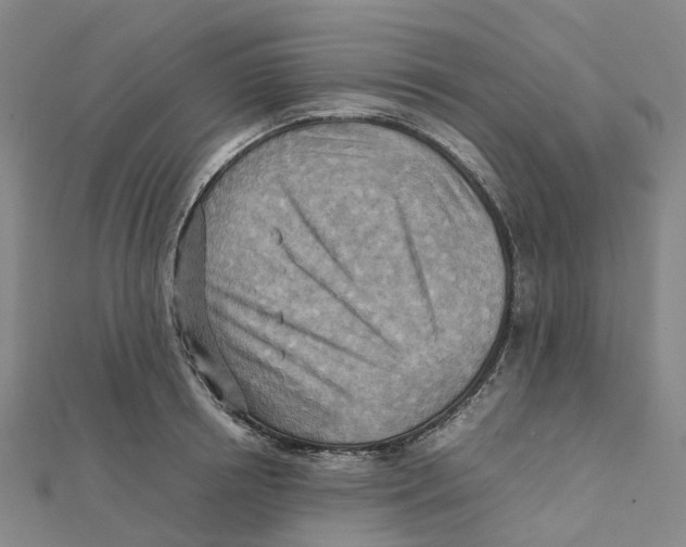 X0000112090850200909011103