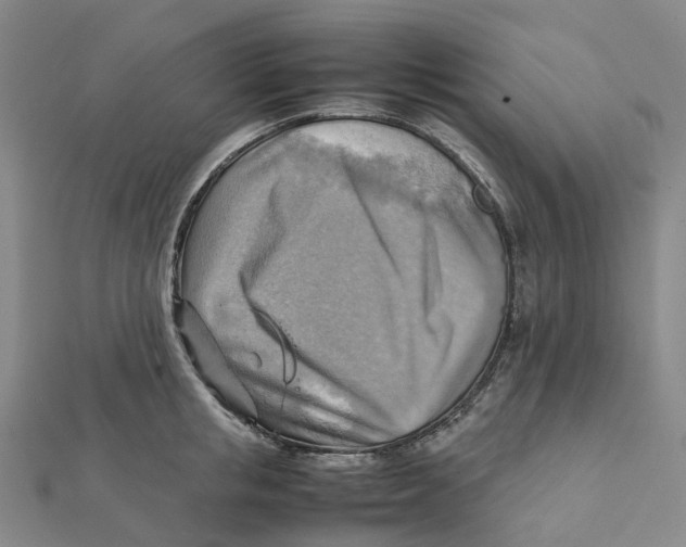 X0000112090853200909011103