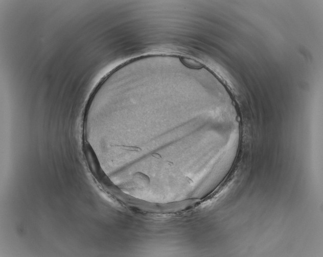 X0000112090854200909011103
