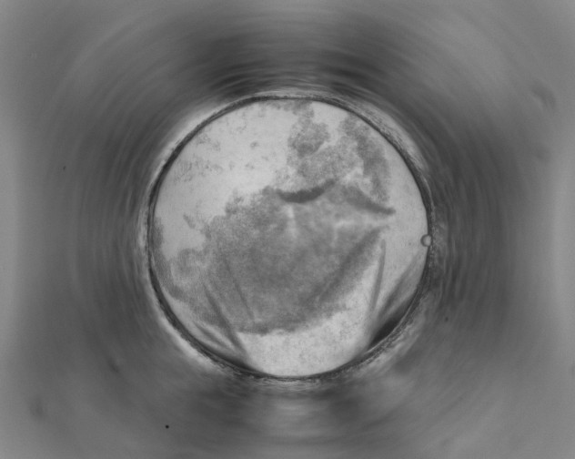 X0000112090855200909011103