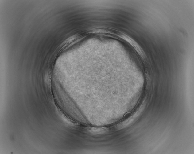 X0000112090857200909011103