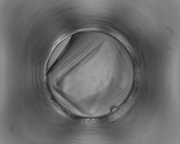 X0000112090858200909011103