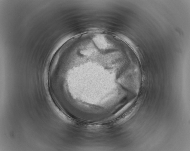 X0000112090859200909011103