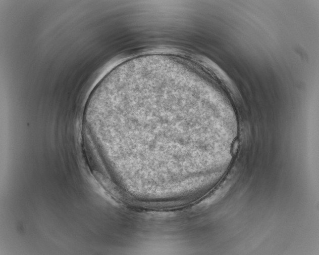 X0000112090860200909011103