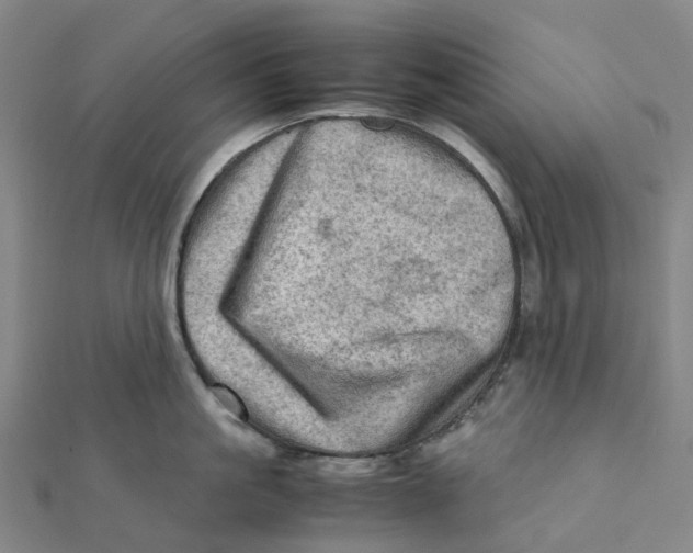 X0000112090861200909011103
