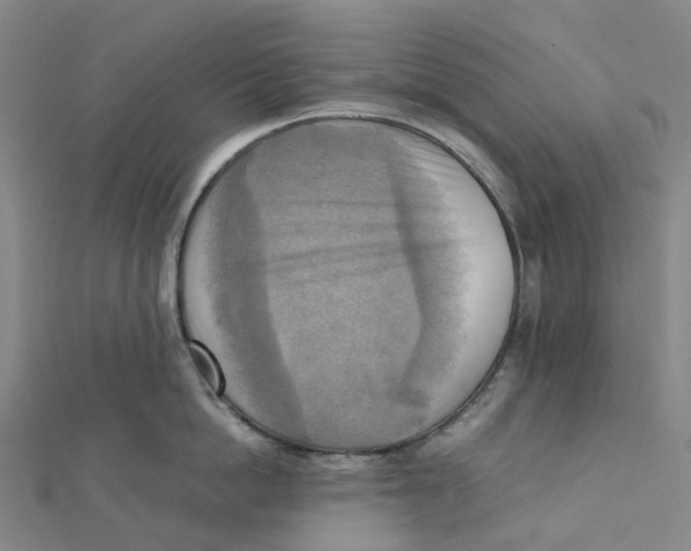 X0000112090862200909011103