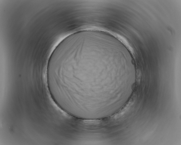 X0000112090863200909011103